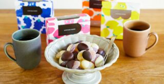 puregumi chocolate